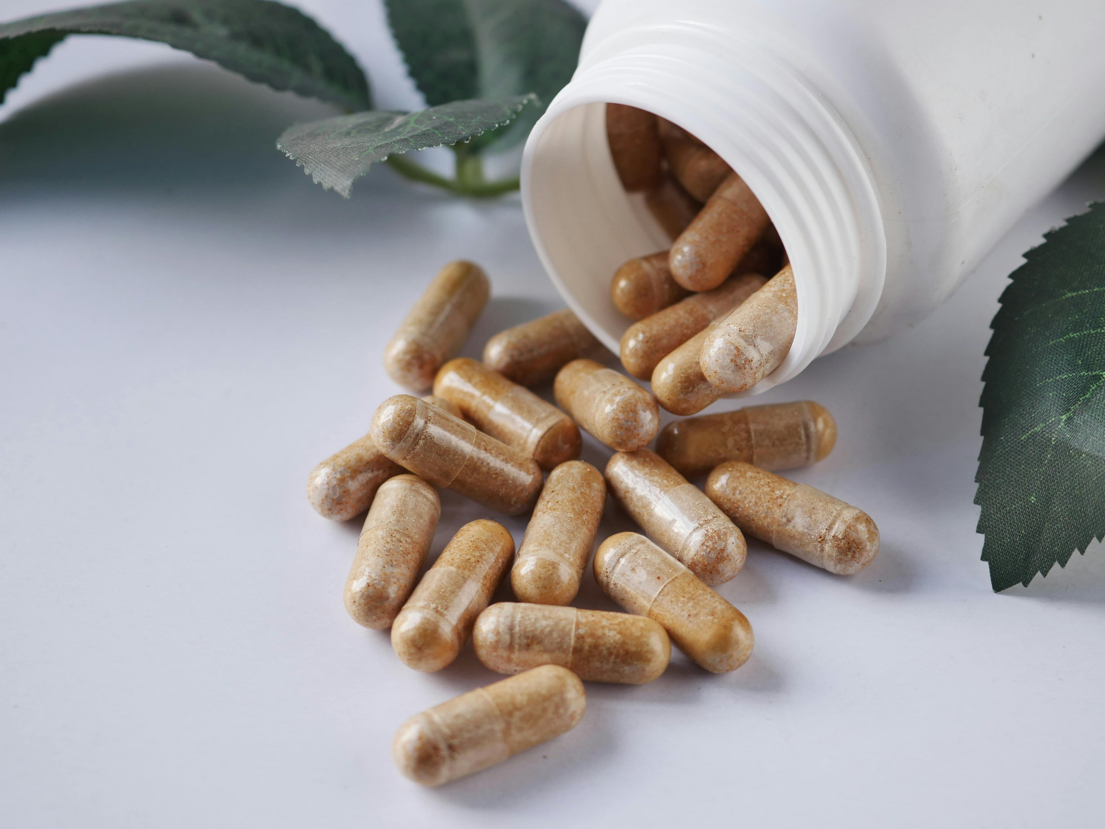 pb-supplements2