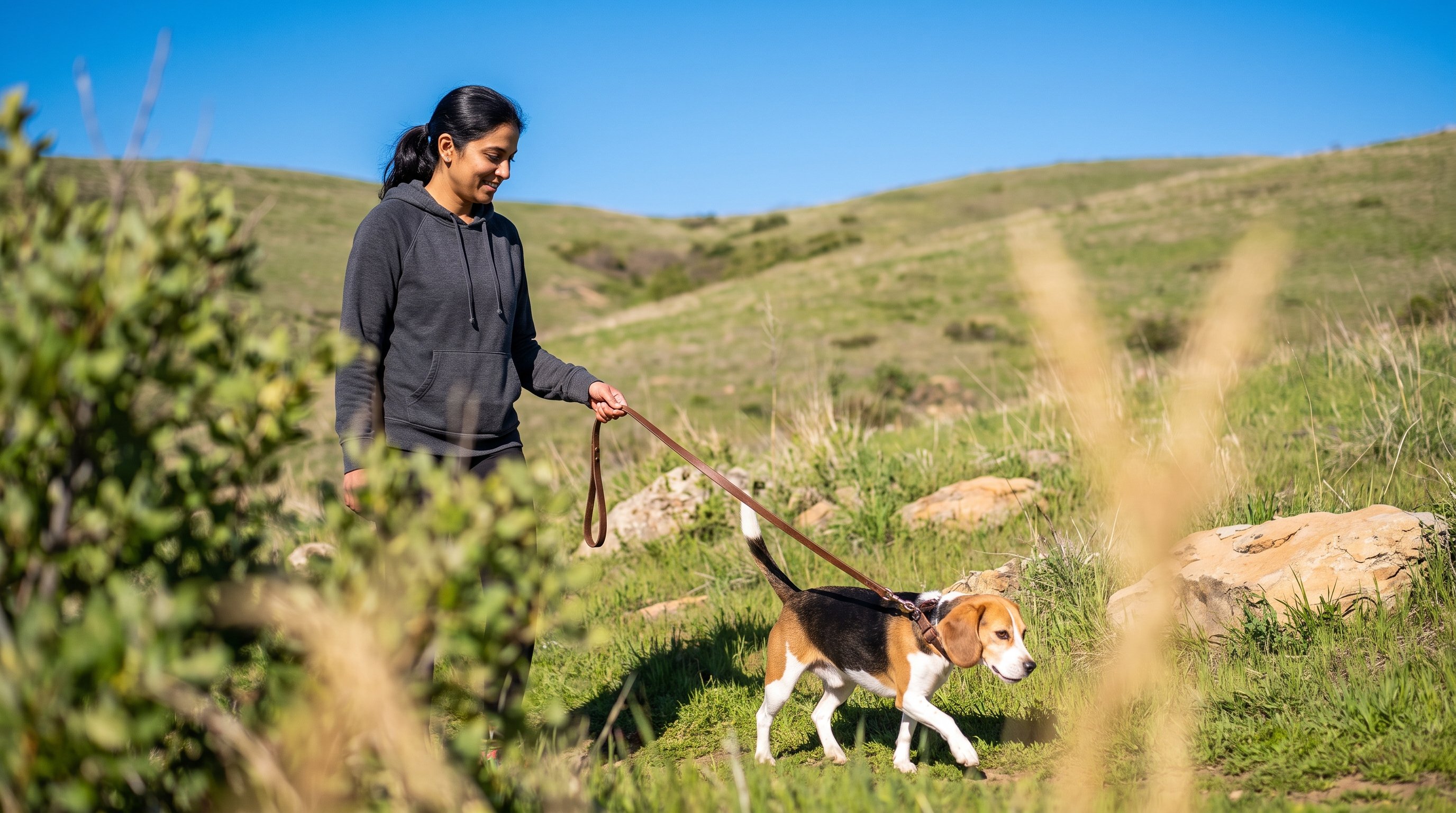 A woman in her 30s walking a beagle on a leash on a tree-lined path